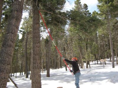 Wildfire Mitigation – Starting Early Image